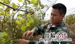 村办企业是否为国有资产管理单位 村办企业是否为国有资产