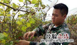 村办企业是否为国有资产管理单位 村办企业是否为国有资产