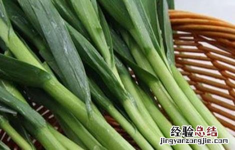 10月适合种植的蔬菜 十月适合种植的蔬菜有哪些