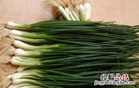 10月适合种植的蔬菜 十月适合种植的蔬菜有哪些