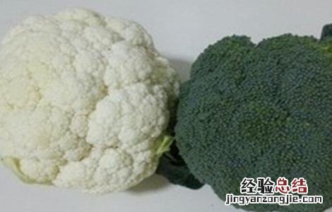 花椰菜和西兰花区别 花椰菜和西兰花是一种菜吗