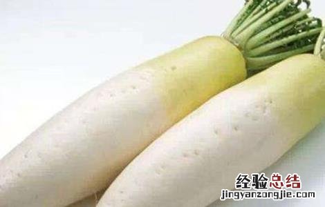 秋天种什么蔬菜有哪些 秋天种什么蔬菜