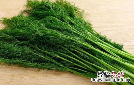 秋天种什么蔬菜有哪些 秋天种什么蔬菜