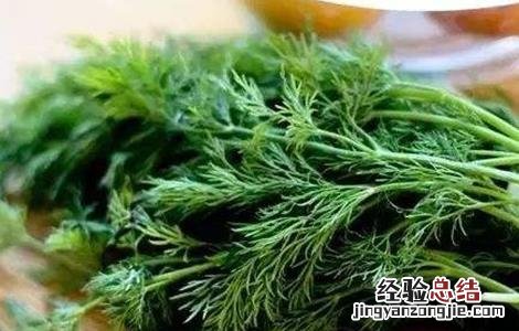 秋天种什么蔬菜有哪些 秋天种什么蔬菜