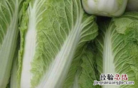 秋冬大白菜田间管理措施 秋冬大白菜田间管理