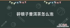 碎银子普洱茶怎么泡 七两碎银子普洱茶怎么泡