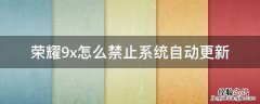 荣耀9x怎么禁止系统自动更新 荣耀9x如何取消自动更新