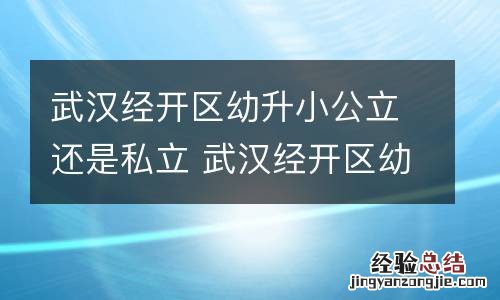 武汉经开区幼升小公立还是私立 武汉经开区幼升小公立还是私立学校好