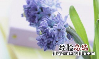 赞美春天的句子有哪些? 赞美春天的句子