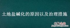 土地盐碱化的原因以及治理措施 土地盐碱化的原因以及治理措施答题模板