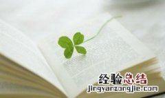 闲言淡语是什么意思 闲言冷语的意思
