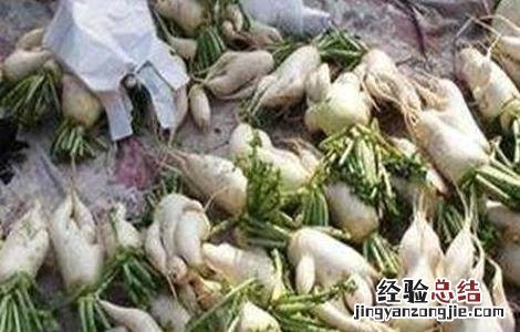 萝卜分叉該怎麽办 分叉的萝卜
