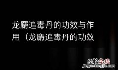 龙麝追毒丹的功效与作用 龙麝追毒丹的功效与作用