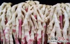 姜芽栽培技术 姜芽怎么栽培