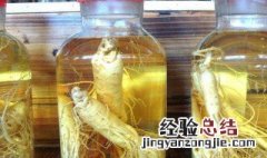 为什么要用人参泡酒喝 为什么要用人参泡酒