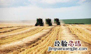 莫桑比克水稻种植 莫桑比克发展种植业的自然潜力