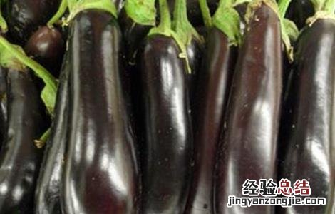 茄子的贮藏方法 茄子的贮藏方法有哪些
