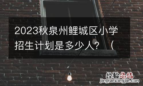 公办+民办 2023秋泉州鲤城区小学招生计划是多少人？