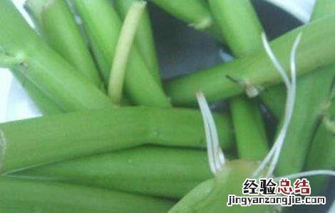 空心菜根肿病 空心菜茎基肿大原因及防治方法