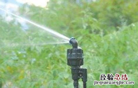 大棚蔬菜的浇水方式 大棚蔬菜夏季浇水方法