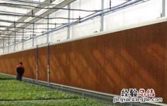 大棚蔬菜夏季管理 蔬菜大棚的日常管理