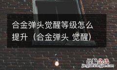 合金弹头 觉醒 合金弹头觉醒等级怎么提升