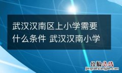 武汉汉南区上小学需要什么条件 武汉汉南小学分配