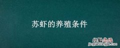 对虾养殖条件 苏虾的养殖条件