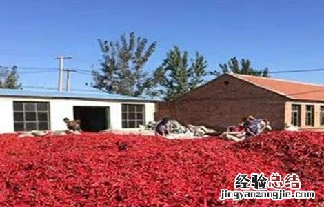 辣椒贮藏方法 辣椒贮藏方法视频