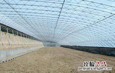 蔬菜大棚建设规模及内容 蔬菜大棚建设要求