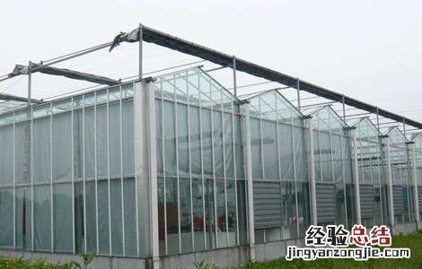 蔬菜大棚建设规模及内容 蔬菜大棚建设要求