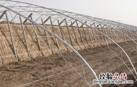 蔬菜大棚建设规模及内容 蔬菜大棚建设要求
