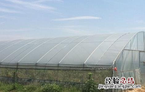蔬菜大棚建设规模及内容 蔬菜大棚建设要求