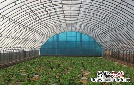蔬菜大棚建设规模及内容 蔬菜大棚建设要求