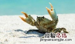 河蟹蒸熟后怎么保存好 河蟹蒸熟后怎么保存