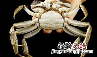 活螃蟹怎么保存不会死