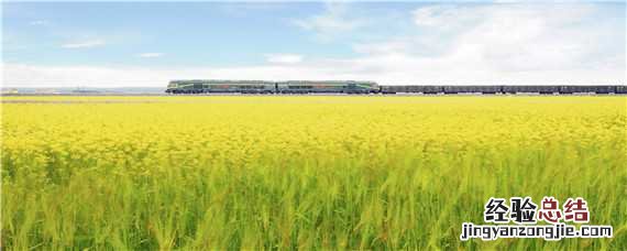 油菜用什么肥料能高产呢 油菜用什么肥料能高产