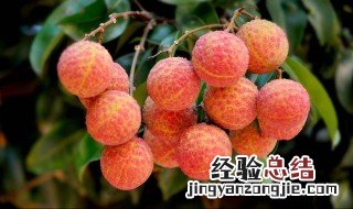 荔枝保果配方 荔枝保果药配方