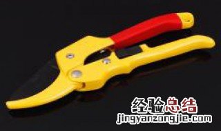 果树滑轮剪刀耐用吗 果树滑轮剪刀耐用吗视频