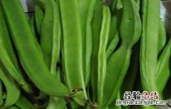 刀豆的高産种植技术有哪些 刀豆的高産种植技术