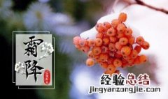 关于霜降的资料 关于霜降的资料简短