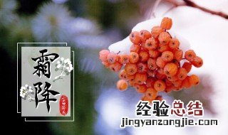 关于霜降的资料 关于霜降的资料简短