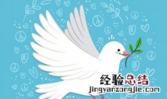 什么鸽是国家保护动物 岩鸽是国家保护动物吗