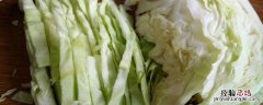 牛心菜是卷心菜吗 知乎 牛心菜是卷心菜吗