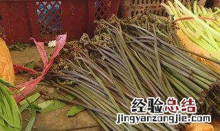 蕨菜致癌是真的吗 广东蕨菜致癌是真的吗