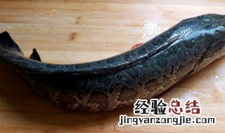 黑鱼怎么做好吃又嫩不硬 黑鱼怎么做比较嫩