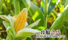 农耕记怎么做 农耕记怎么做才好吃