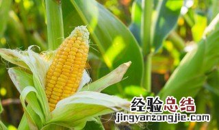 农耕记怎么做 农耕记怎么做才好吃