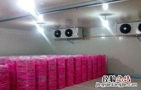 洋葱保鲜技术视频 洋葱保鲜技术