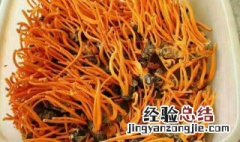 虫草花的功效与作用及禁忌和副作用 虫草花的功效与作用及禁忌